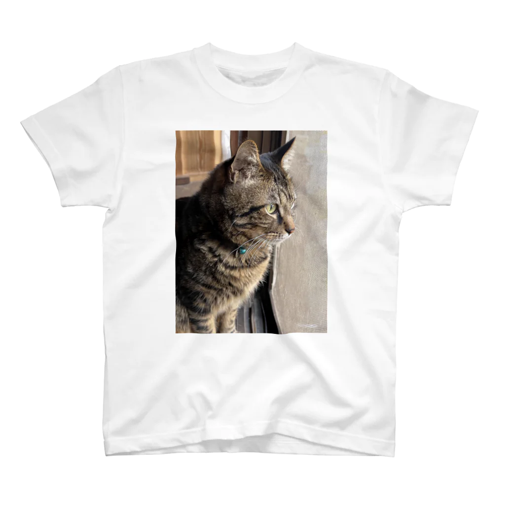 masio_masimasiの保護猫そばくん スタンダードTシャツ