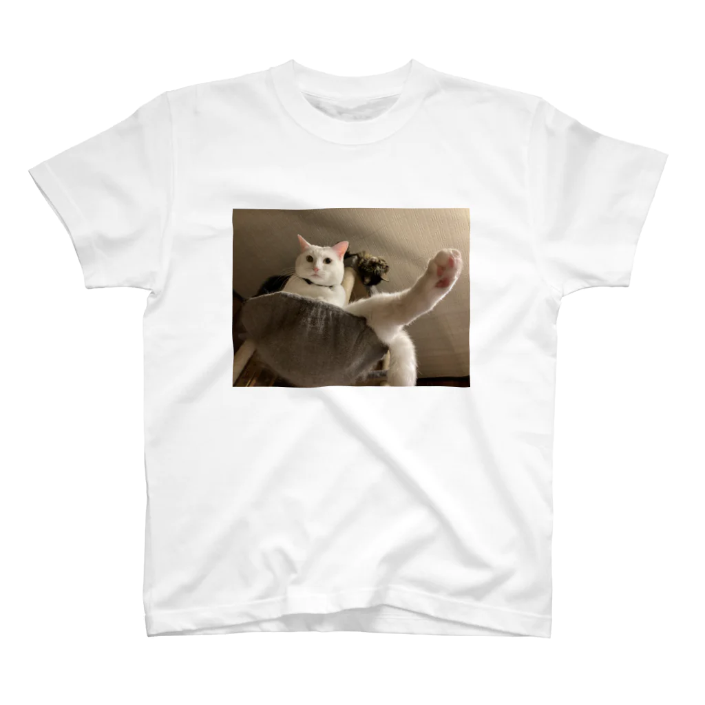 ねこすきのセクシー スタンダードTシャツ