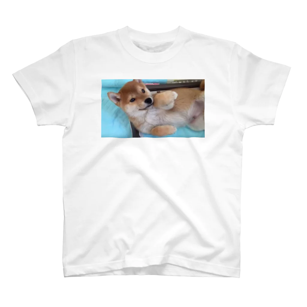 チャットシャルムの犬だよ〜 スタンダードTシャツ