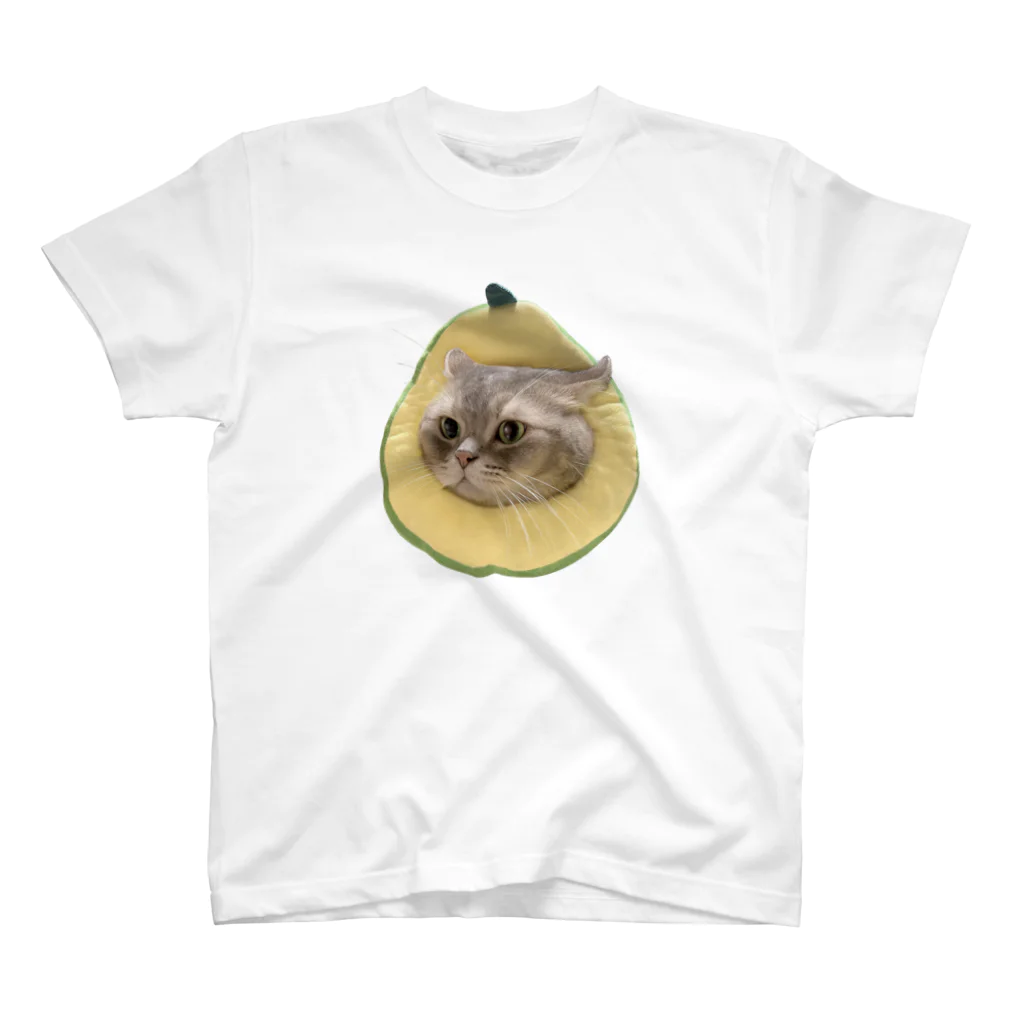 cocostoreのアボT Regular Fit T-Shirt
