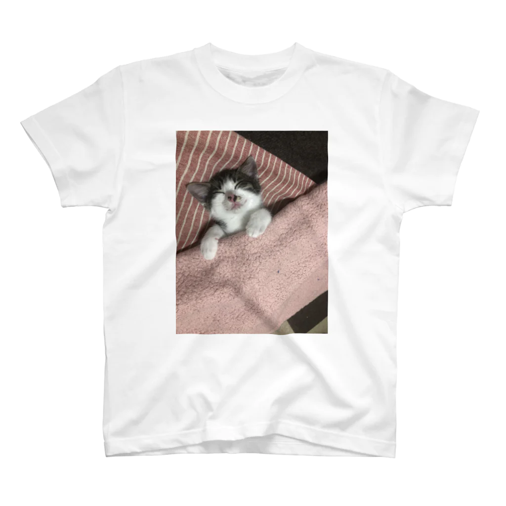 こねこねこ日和の子猫の寝顔 Regular Fit T-Shirt