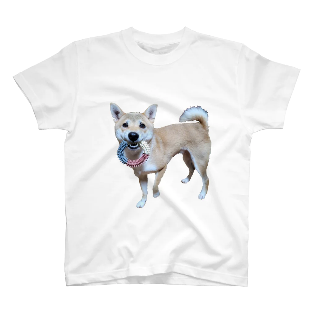 カスミ草の一緒にあそぼ？柴犬 Regular Fit T-Shirt