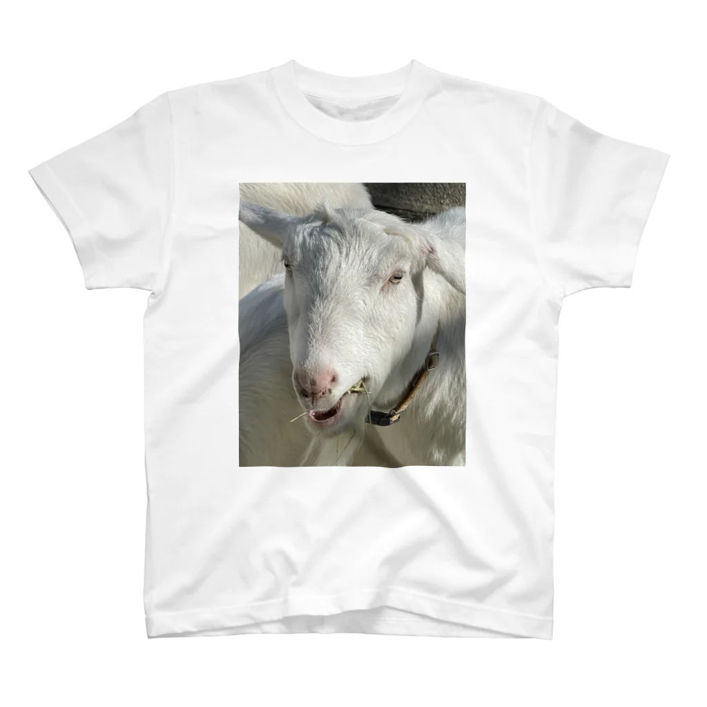 えんまのよく撮れたヤギ2 スタンダードTシャツ