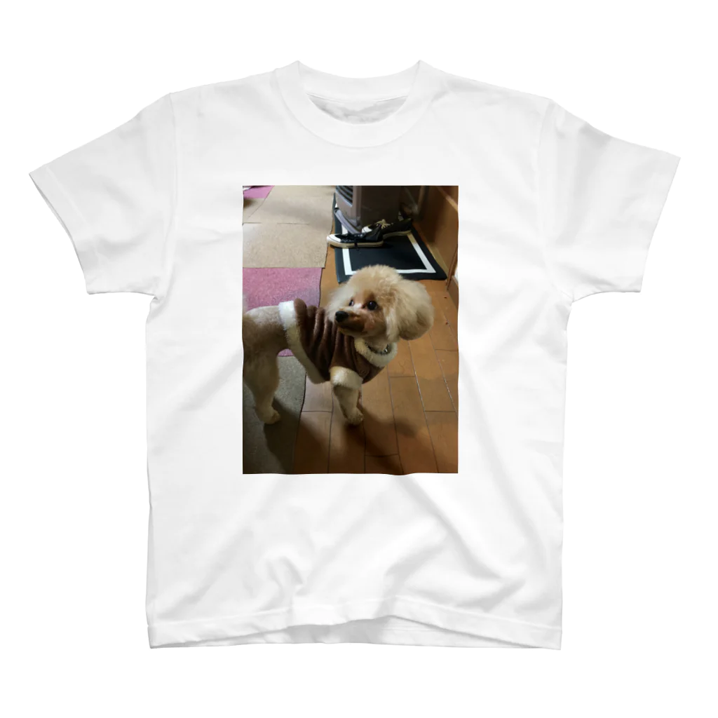 CATのトイプードル Regular Fit T-Shirt
