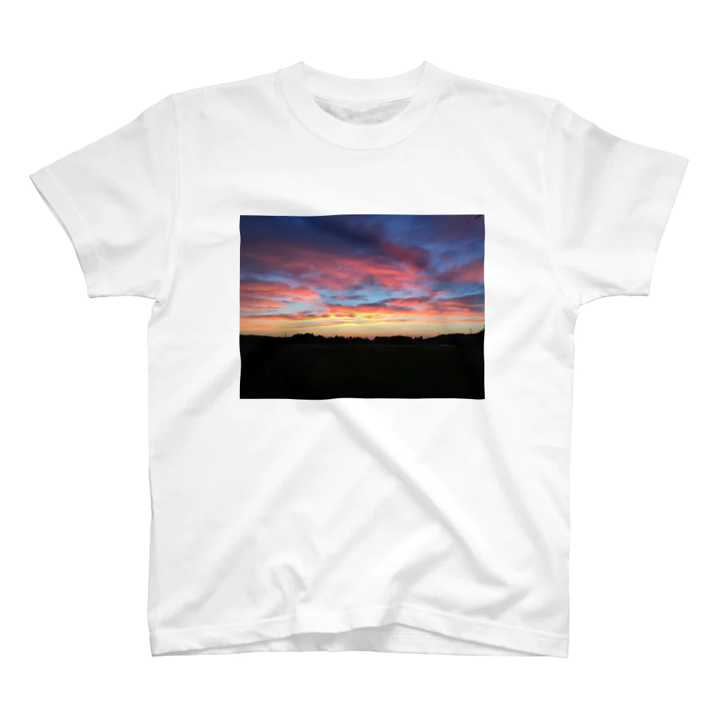 おとうふのniigata magic hour Ⅱ スタンダードTシャツ