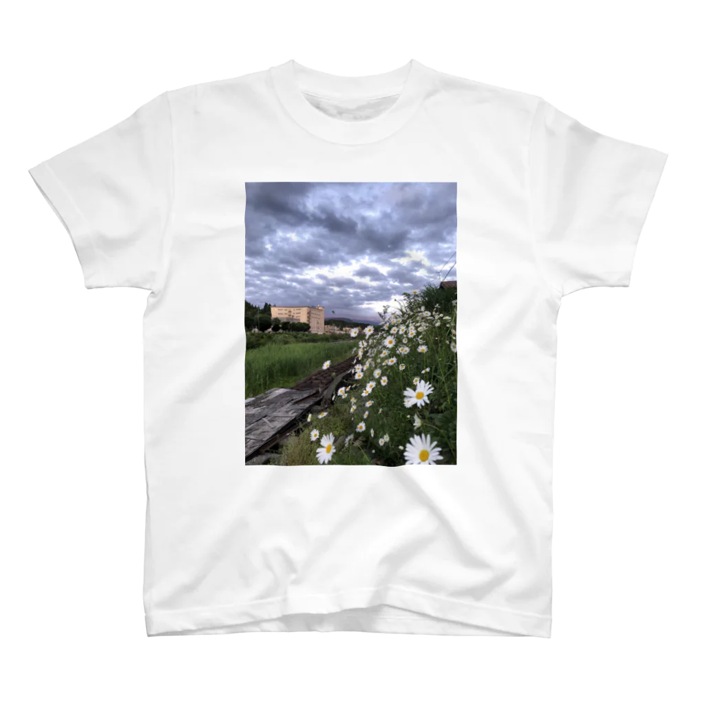 おとうふのお花と曇り空 Regular Fit T-Shirt