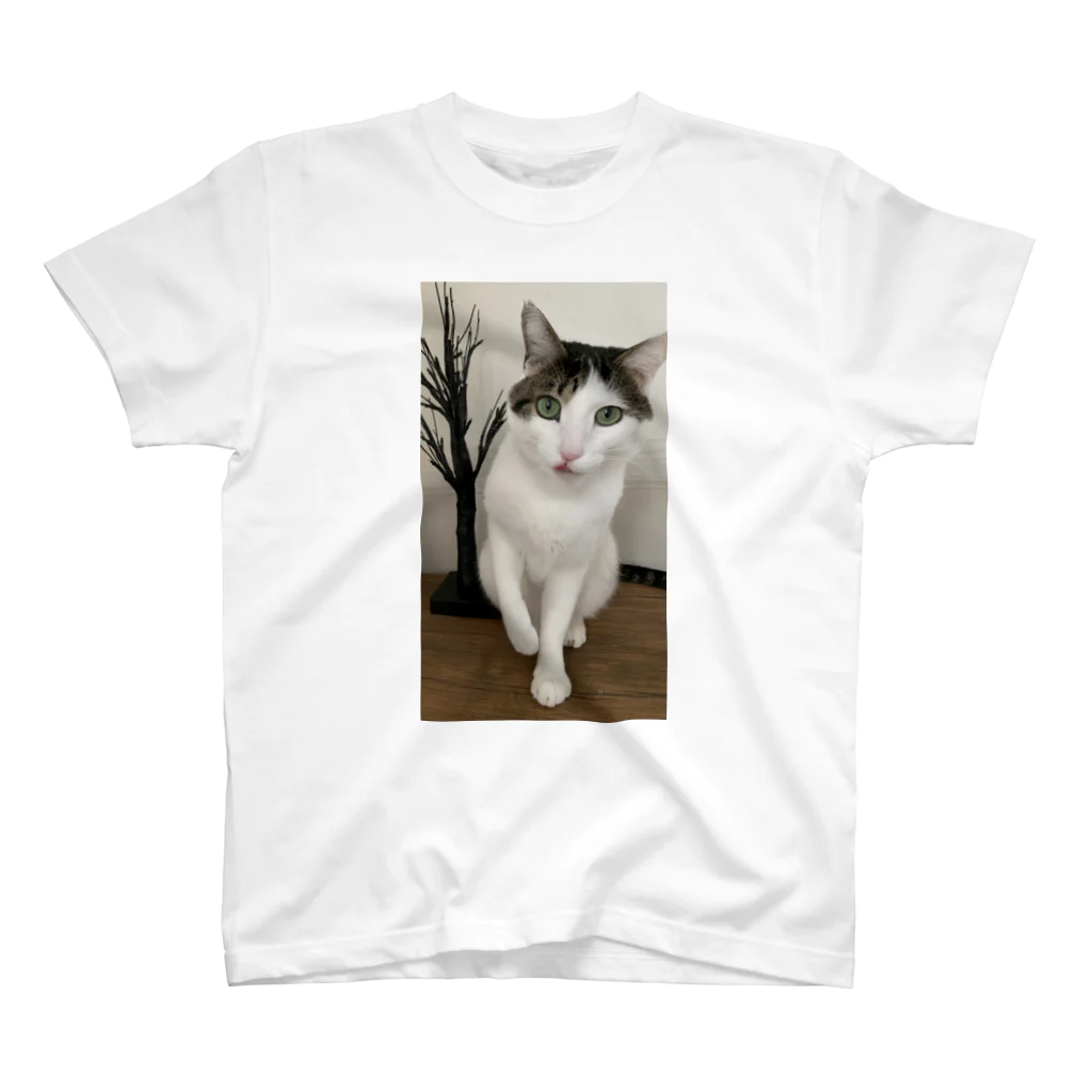 飴色の猫の紋さん(ペロリ) スタンダードTシャツ