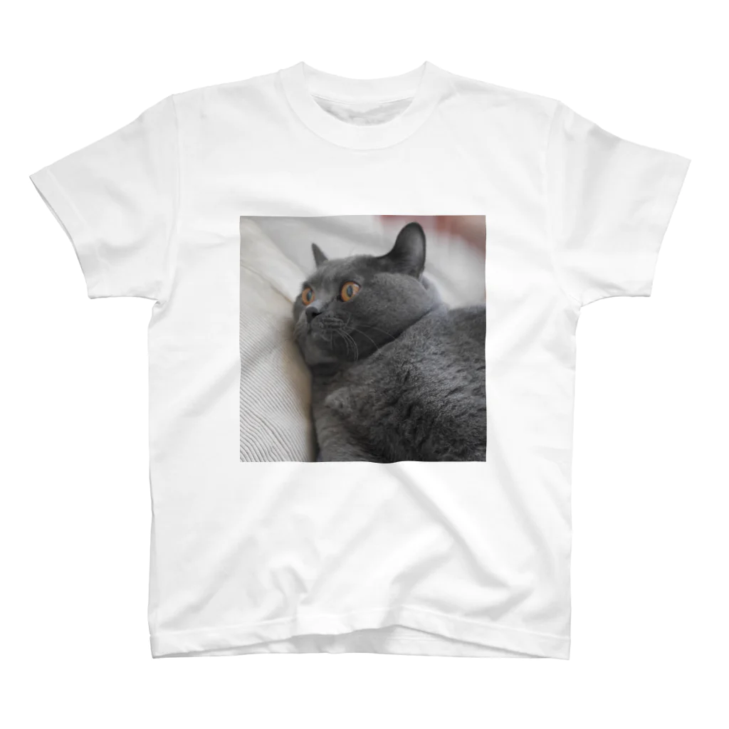 恥部ちゃんの団子の猫2 スタンダードTシャツ