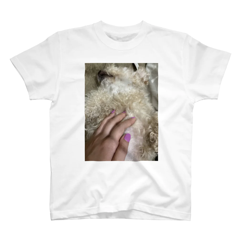 リュボーフィの利用された犬 Regular Fit T-Shirt