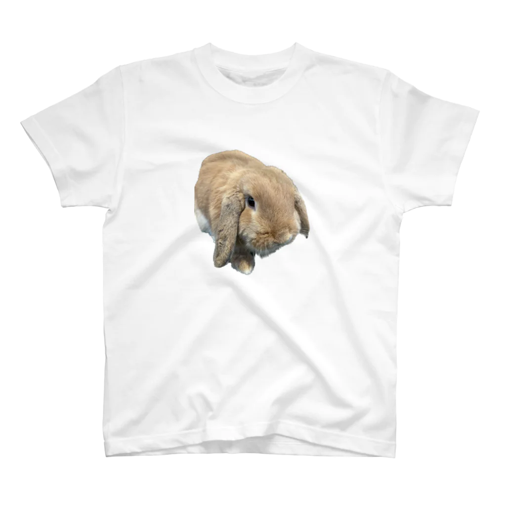 もふもふララちゃんのウサギグラス Regular Fit T-Shirt