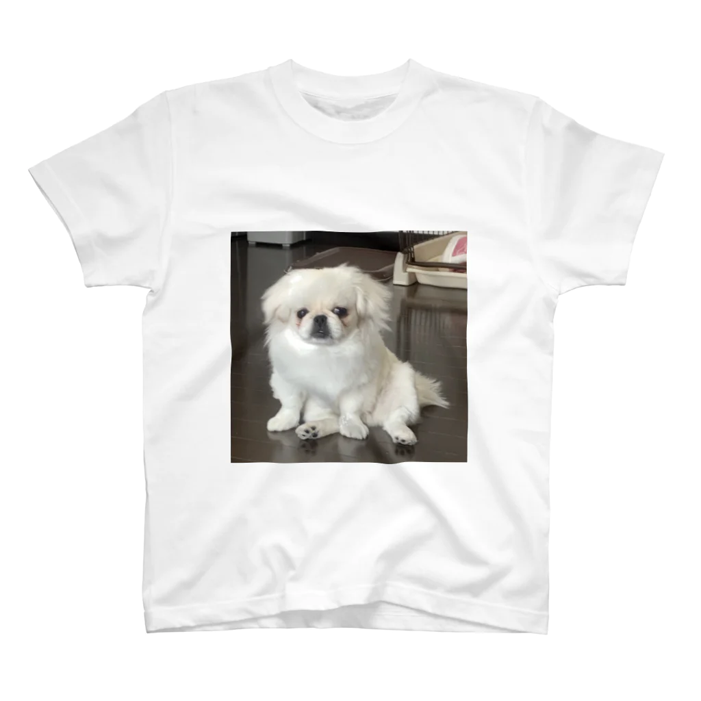 鼻毛ラプソディの鼻ラプん家の犬 Regular Fit T-Shirt