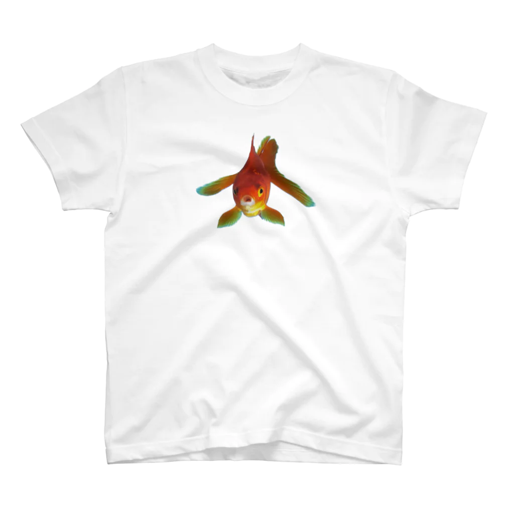 acobi'sのこっち見てる違う金魚 Regular Fit T-Shirt