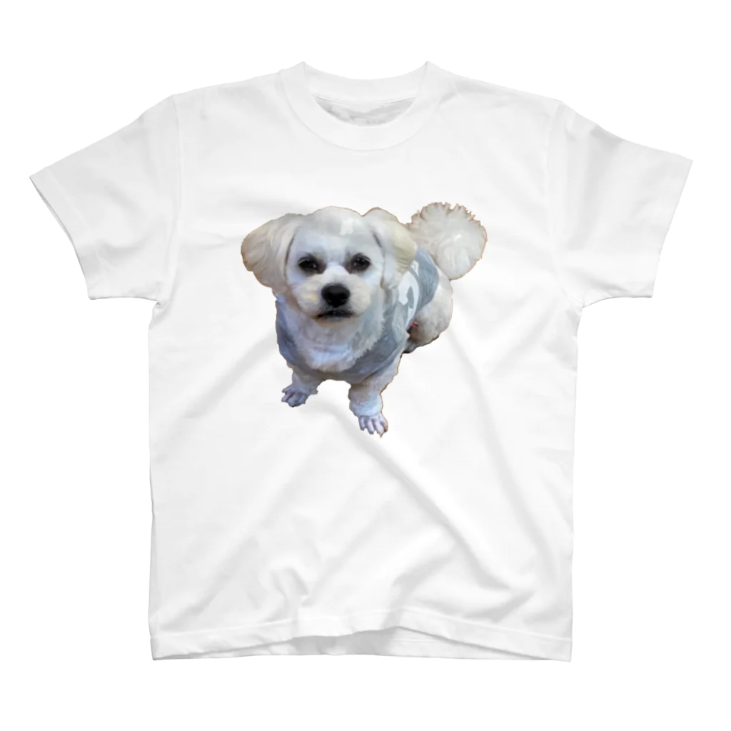 ソラプーのイケメン犬 Regular Fit T-Shirt