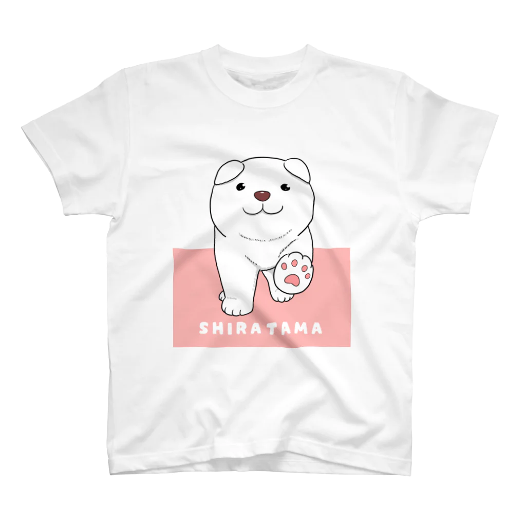 カラーゲンのお店のしらたま　２　ピンク スタンダードTシャツ