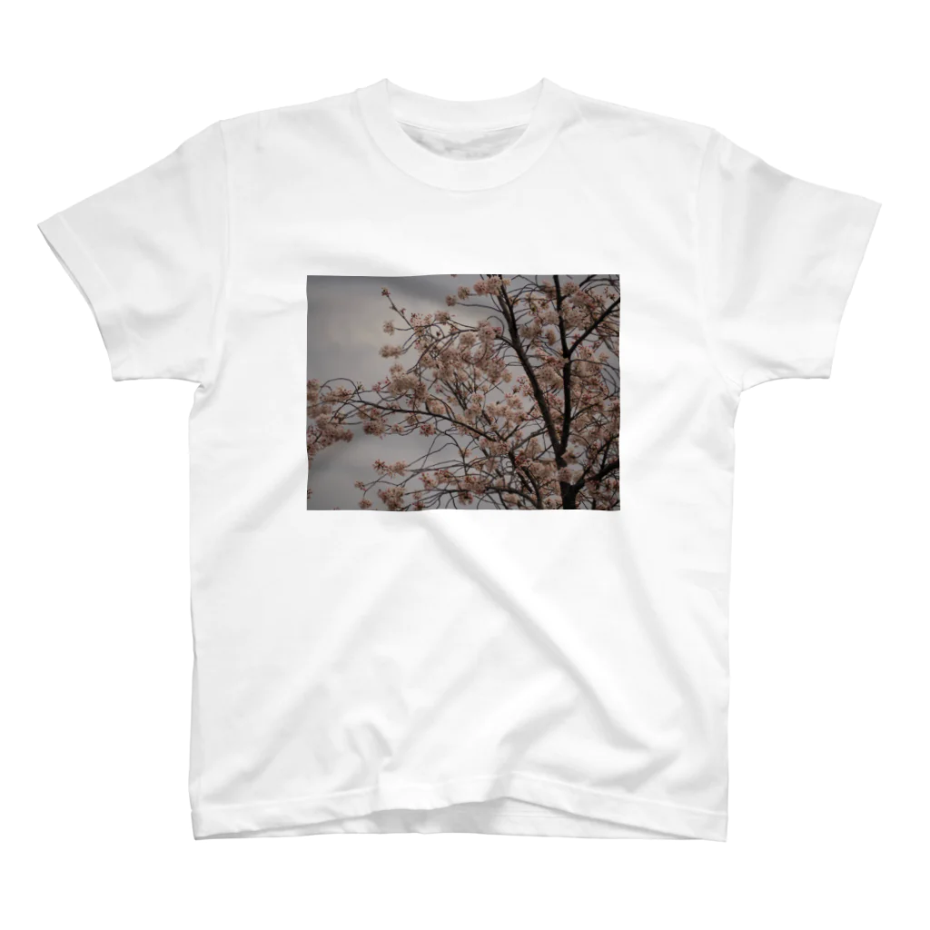 ムーンライトのレトロSAKURA スタンダードTシャツ