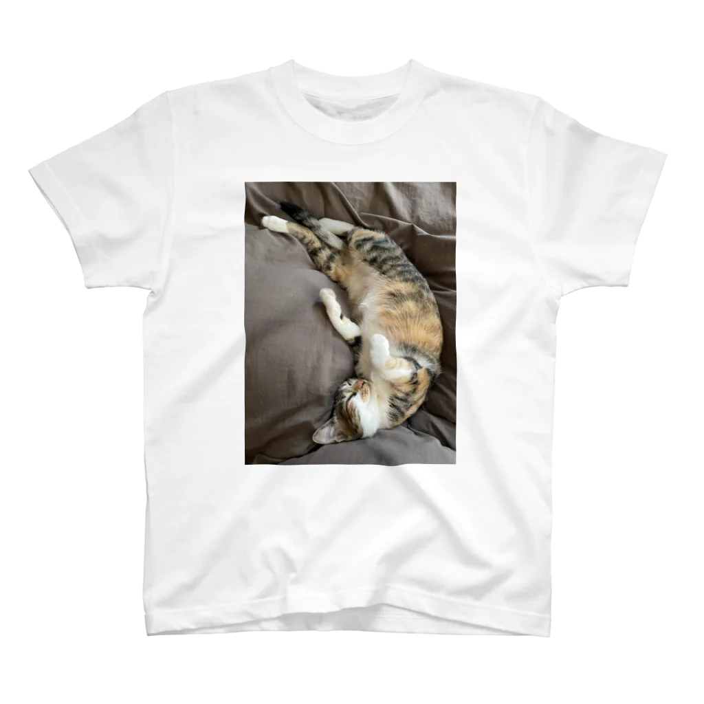 みたらししょっぷのみたらしみーちゃん Regular Fit T-Shirt