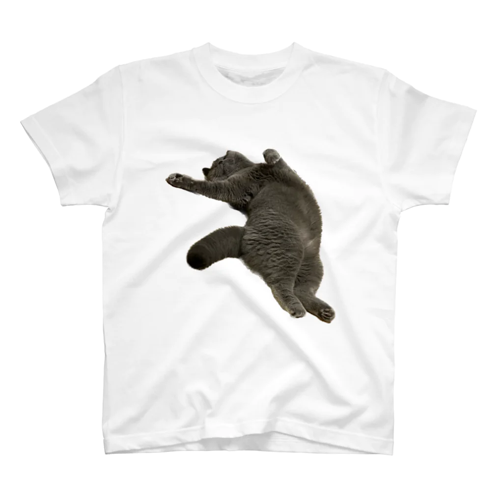むっちり猫のむっちり丸のお腹ぽっこりむっちり丸 スタンダードTシャツ