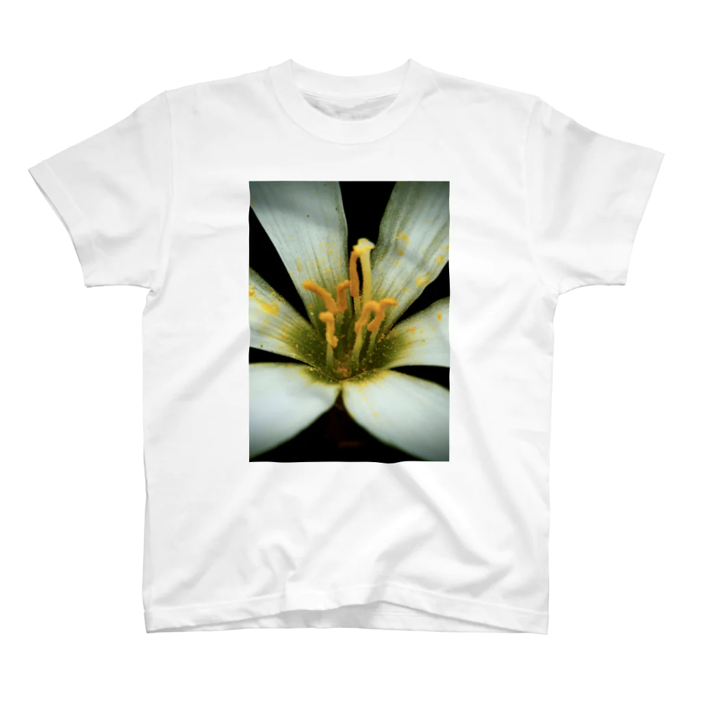 Tシャツ&雑貨の花弁(White) Regular Fit T-Shirt