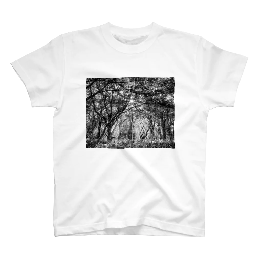 ネイティブ山小屋ん🏔の深呼吸Noir スタンダードTシャツ