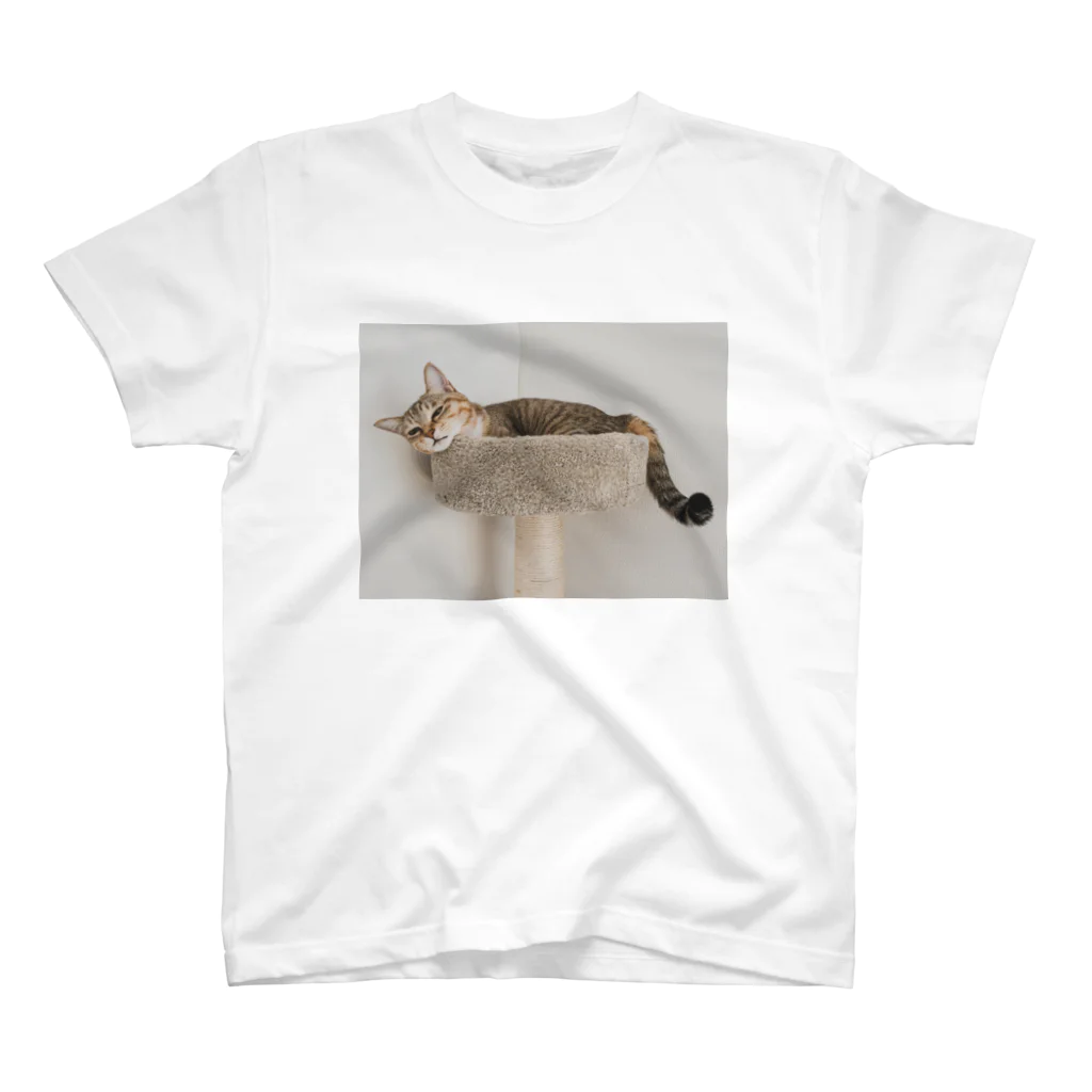 gaga_the_catのねむいガガ スタンダードTシャツ