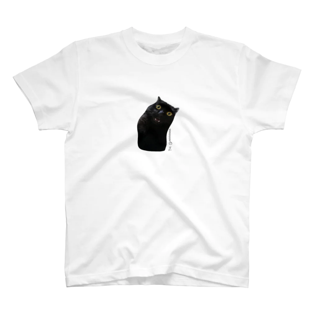 HakubeiのシッポのGraaaaaaaa化け猫② Regular Fit T-Shirt