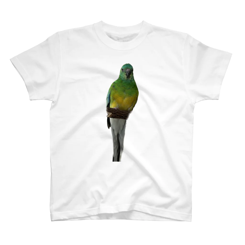 Tam&Naoのビセイインコ Regular Fit T-Shirt