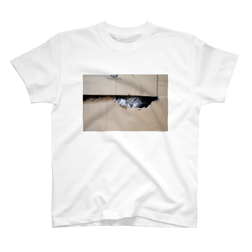 Aiko Nakanoのcat_20180529_3506' Regular Fit T-Shirt