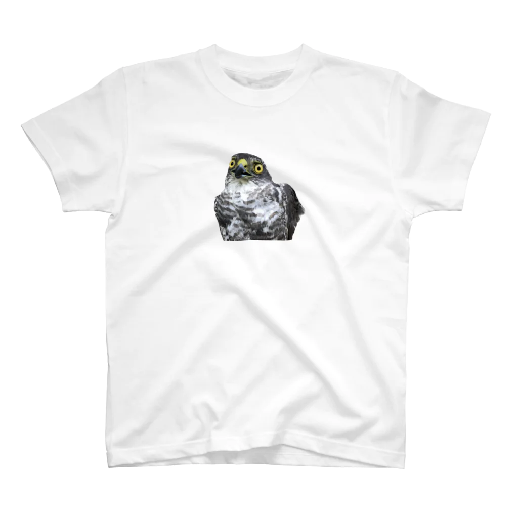 Little_Huge_Wild_Animalsのツミとぼけ スタンダードTシャツ