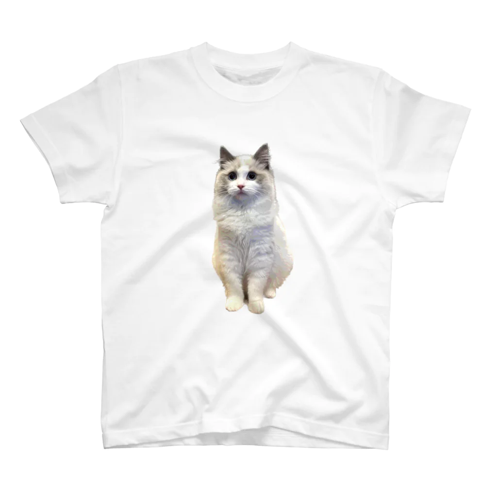 VISgraphicsのSOPO スタンダードTシャツ