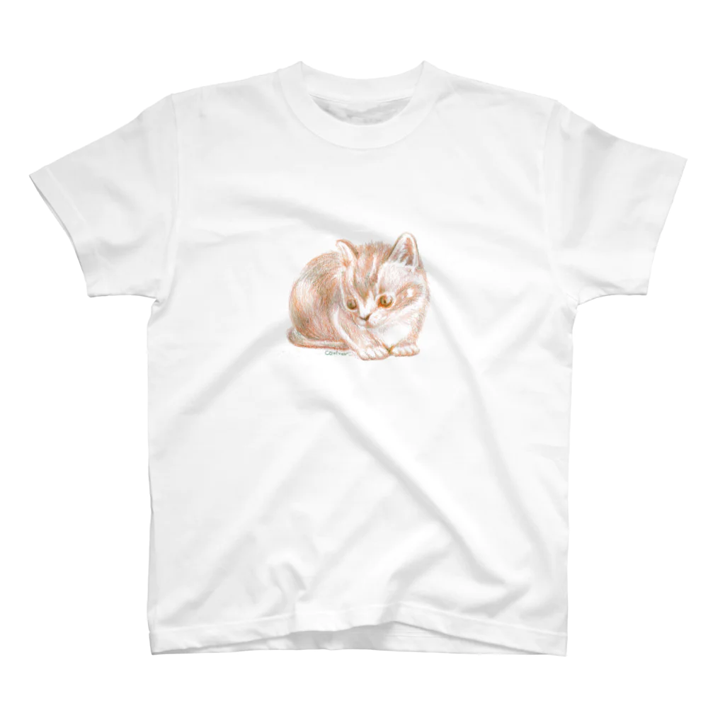 catherのこねこ.ogb スタンダードTシャツ