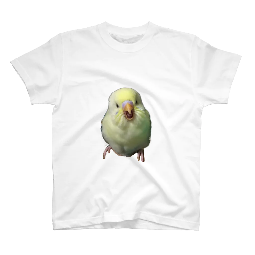 Be As Oneのアタチはひーちゃん🐤 Regular Fit T-Shirt