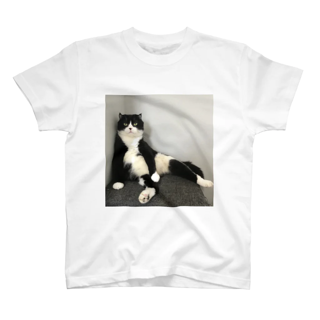 ネコまにあ 【12匹の猫➕うずら】のまめパパ スタンダードTシャツ