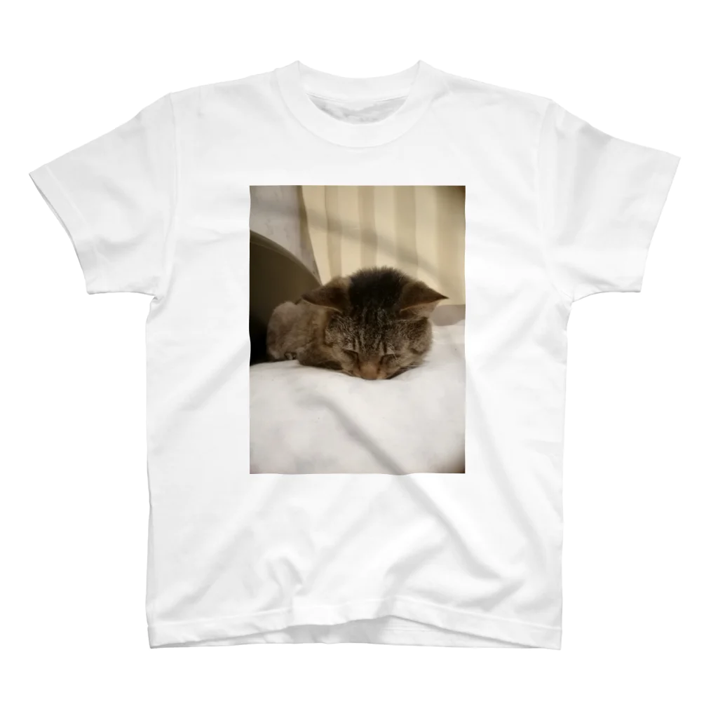 工房かみりゅんの家の猫　茶虎 スタンダードTシャツ