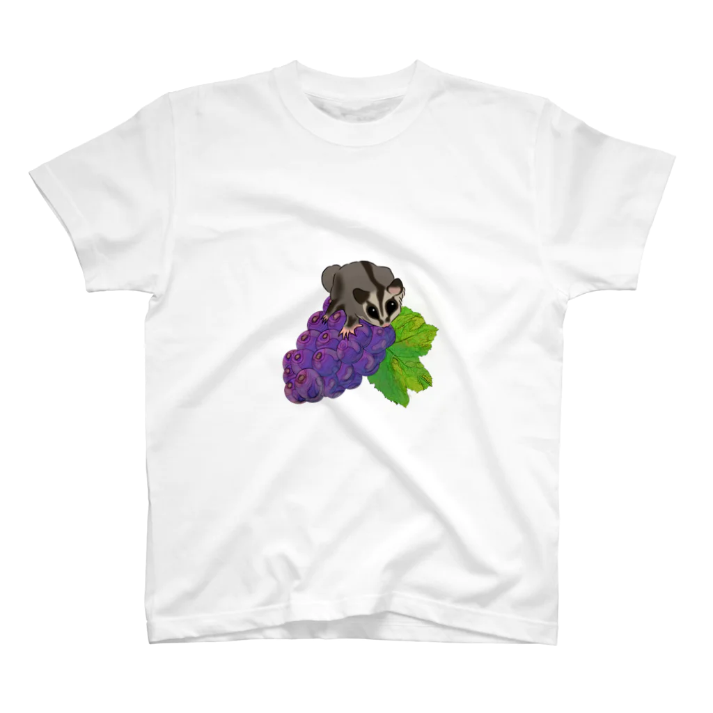 モモンガのしっぽのSugar glider is on grapes! スタンダードTシャツ