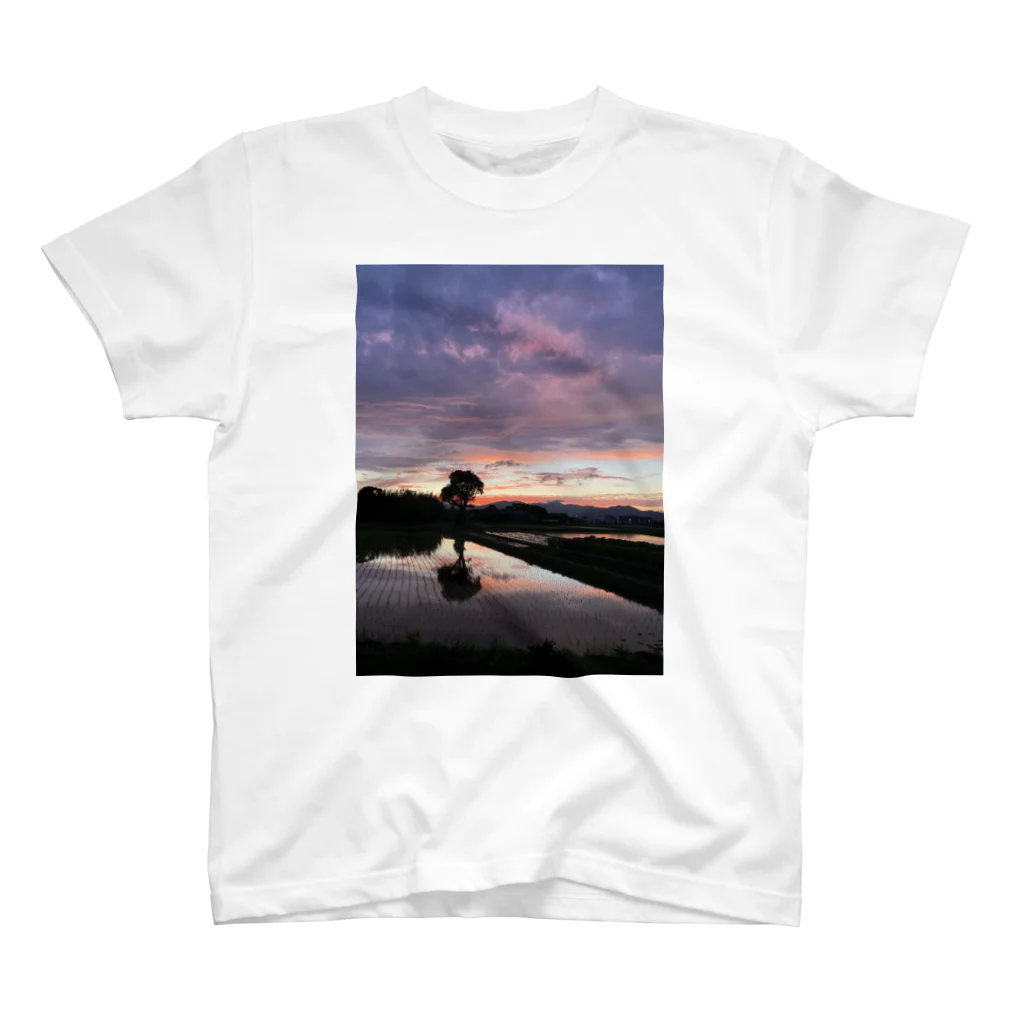 ちゃたろうとくろすけ。の夕日の綺麗な夏 スタンダードTシャツ