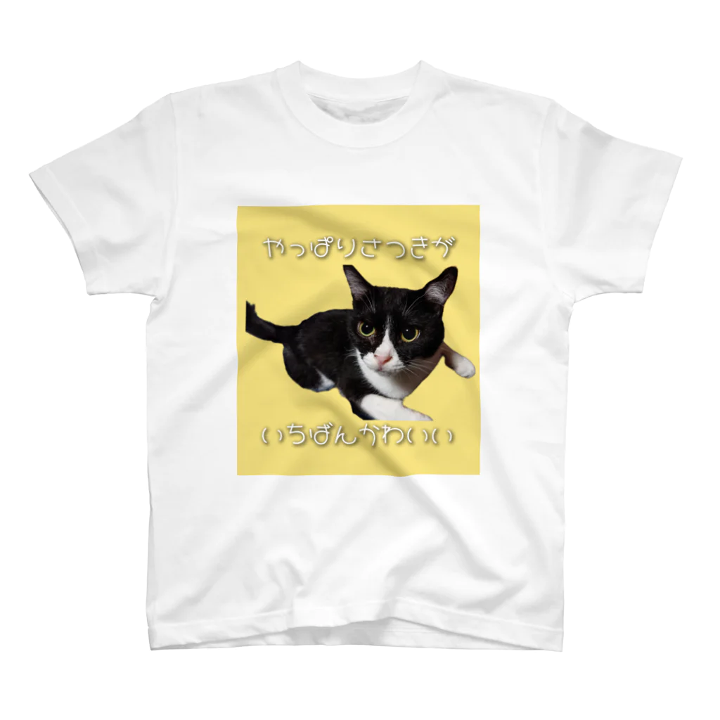 いわたみーと😿現在お昼寝中のやっぱりさつきがいちばんかわいい スタンダードTシャツ