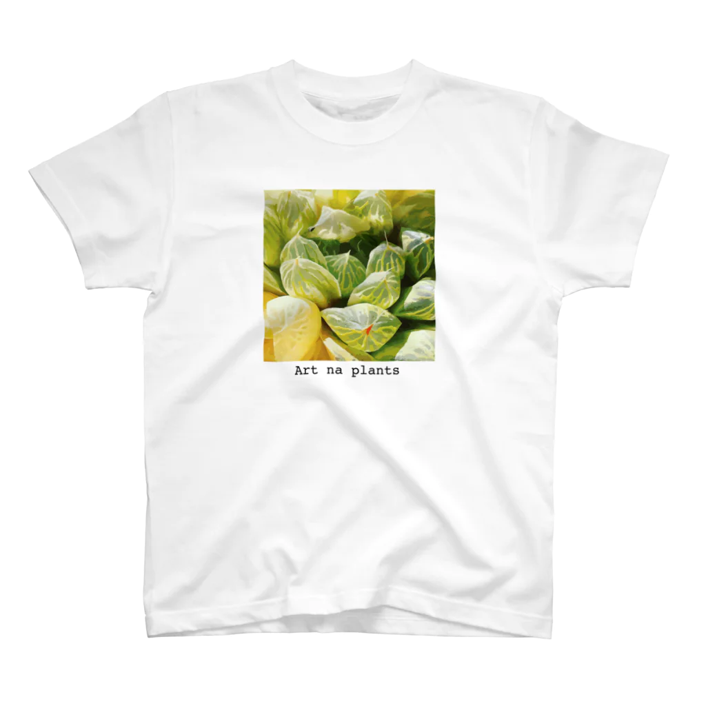 Art na plantsのArt na plants　ハオルチア　オブツーサ　マリン スタンダードTシャツ