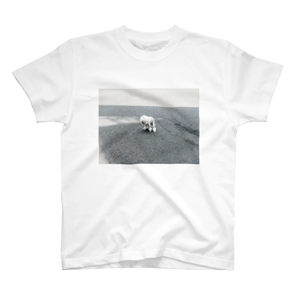 n't in a frameのPoor Dog Regular Fit T-Shirt