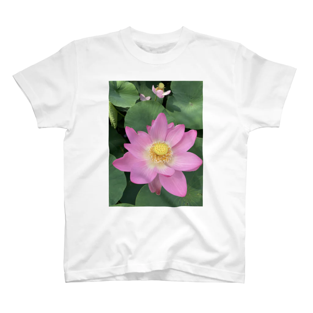 ohkの蓮の花 スタンダードTシャツ