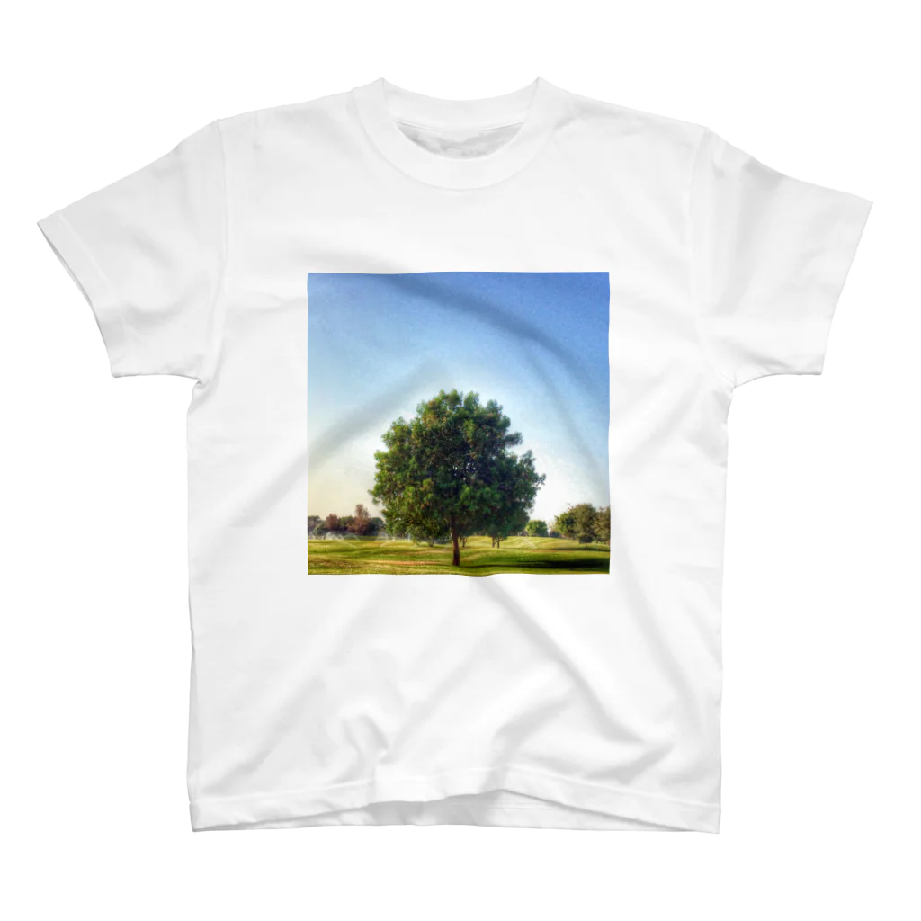 Emanon  ShopのAbū Dhabī tree Regular Fit T-Shirt