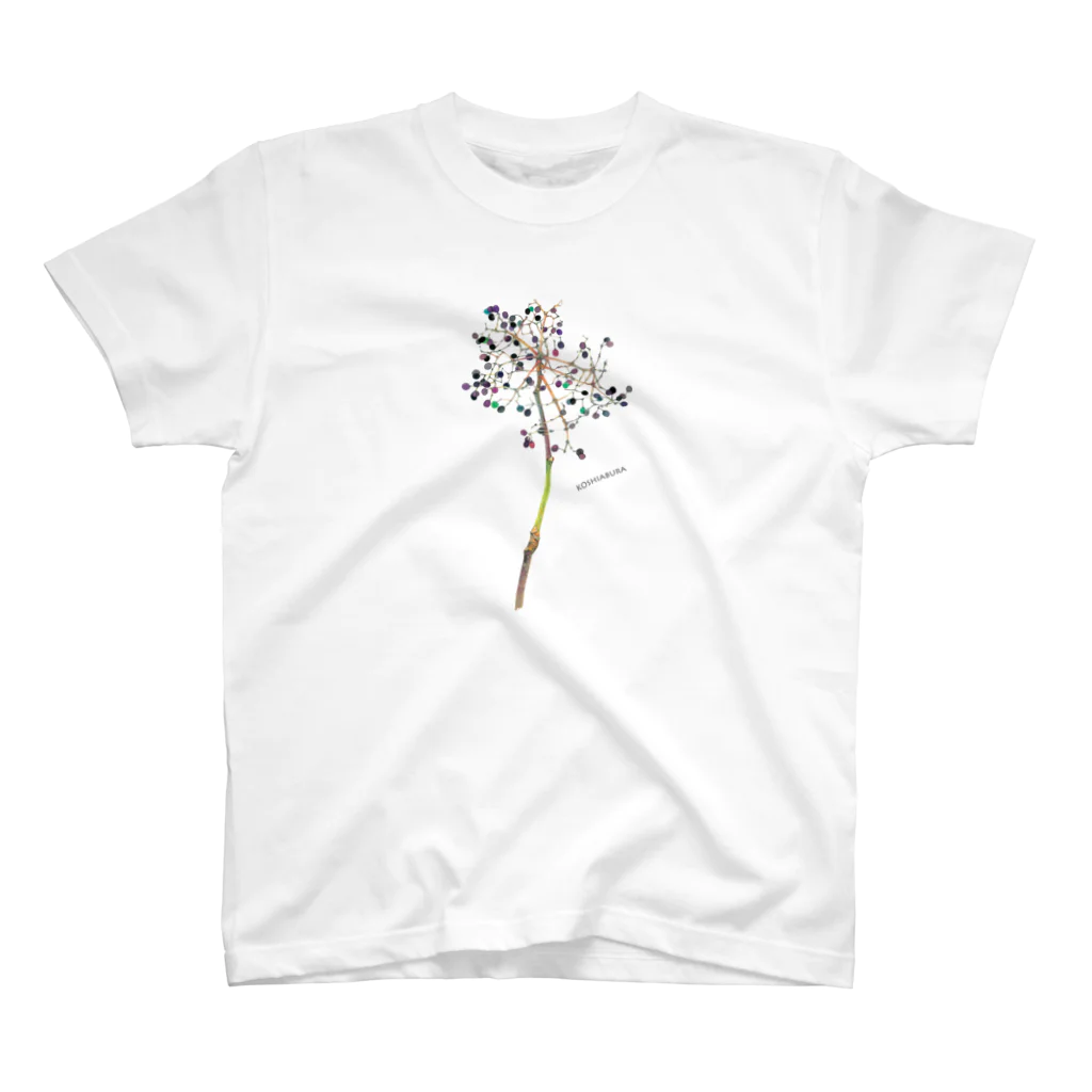 外山康雄　野の花館のこしあぶらは春だけじゃないのよ！ スタンダードTシャツ