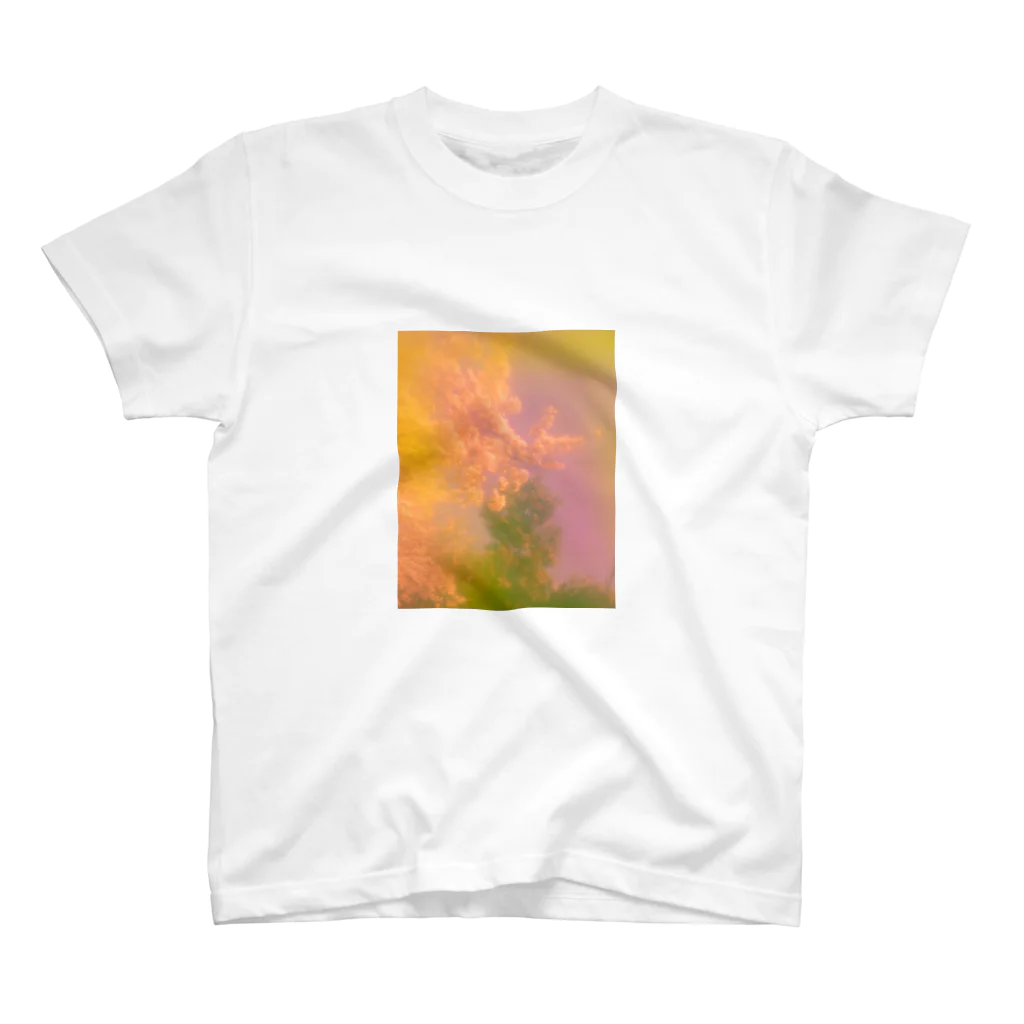 swimming_fruitsのFlor de Sakura スタンダードTシャツ