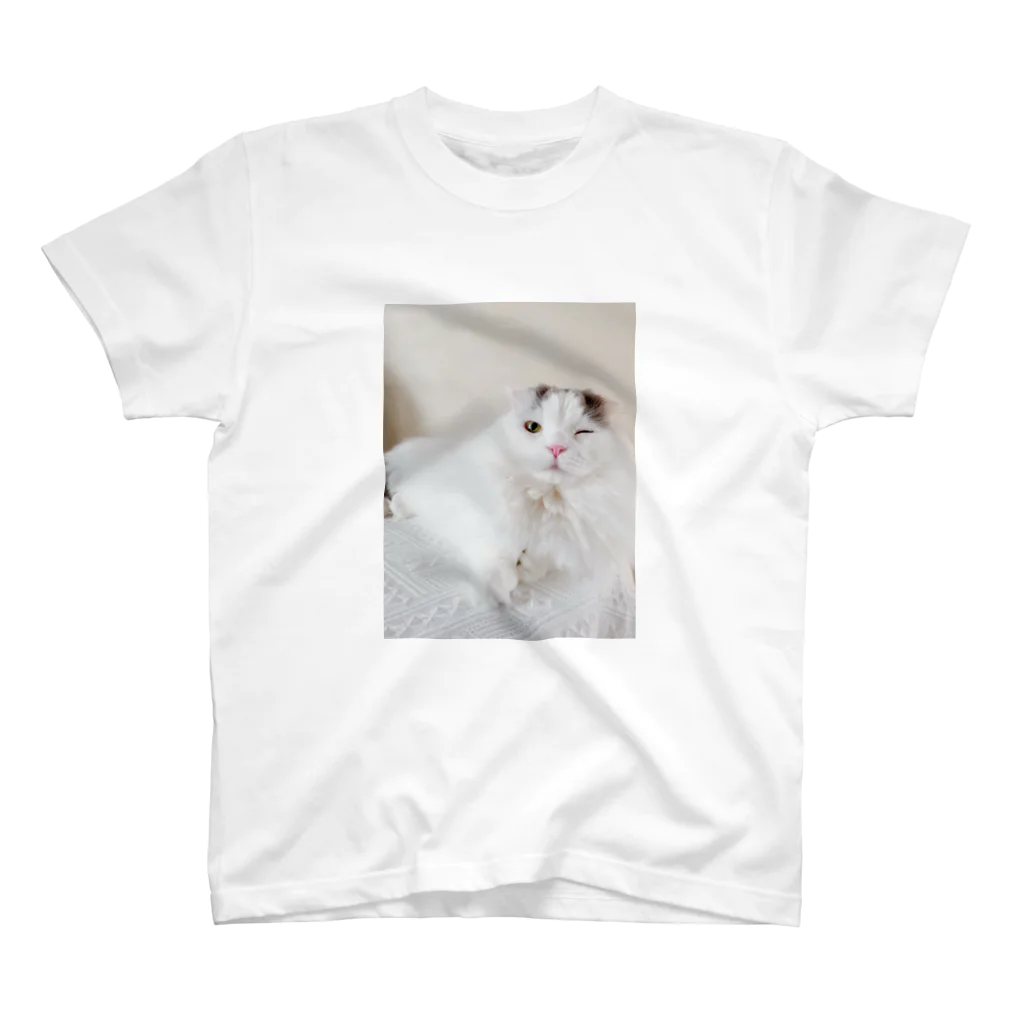 mameomameのおまめのウインク スタンダードTシャツ