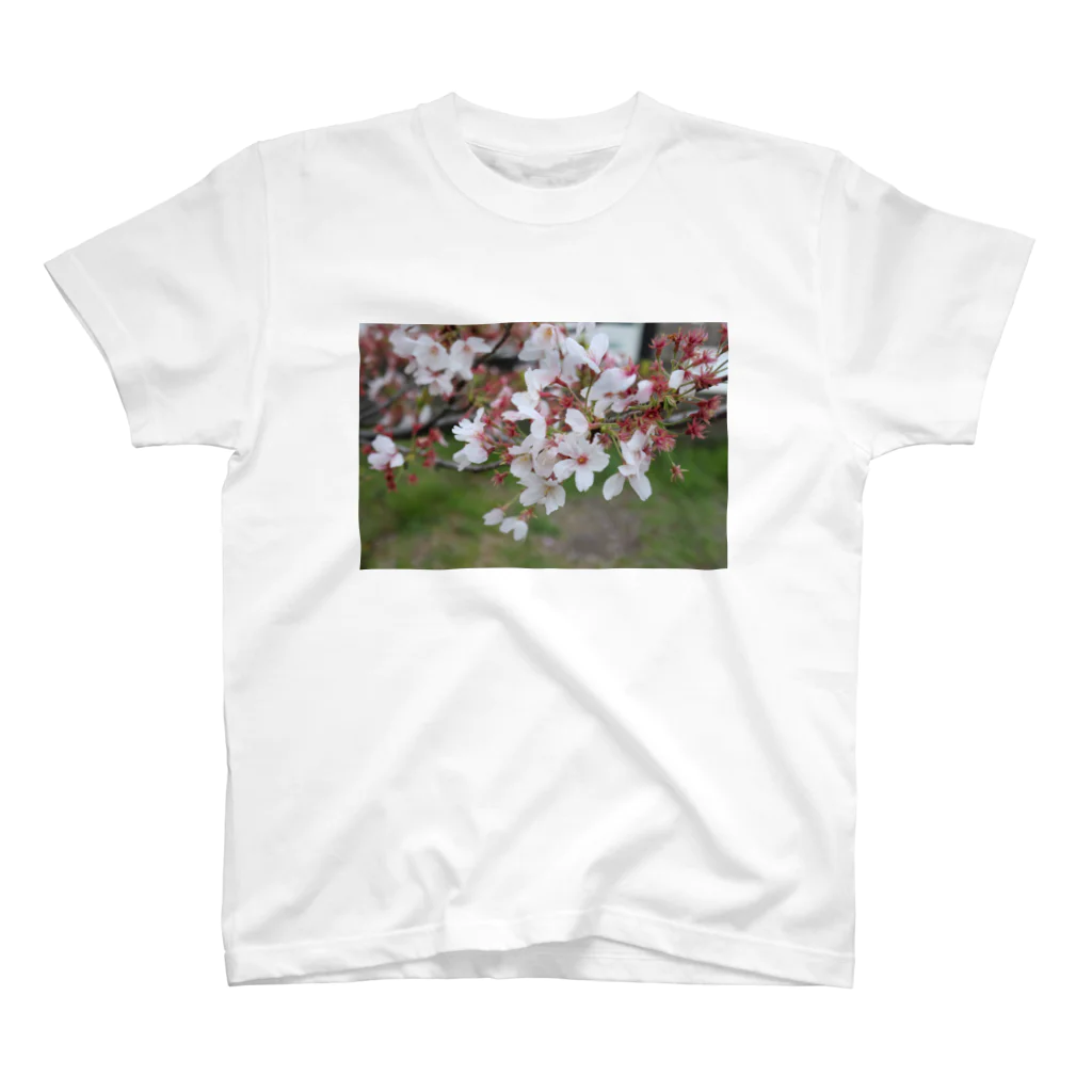 そらまるの部屋の桜の木 Regular Fit T-Shirt