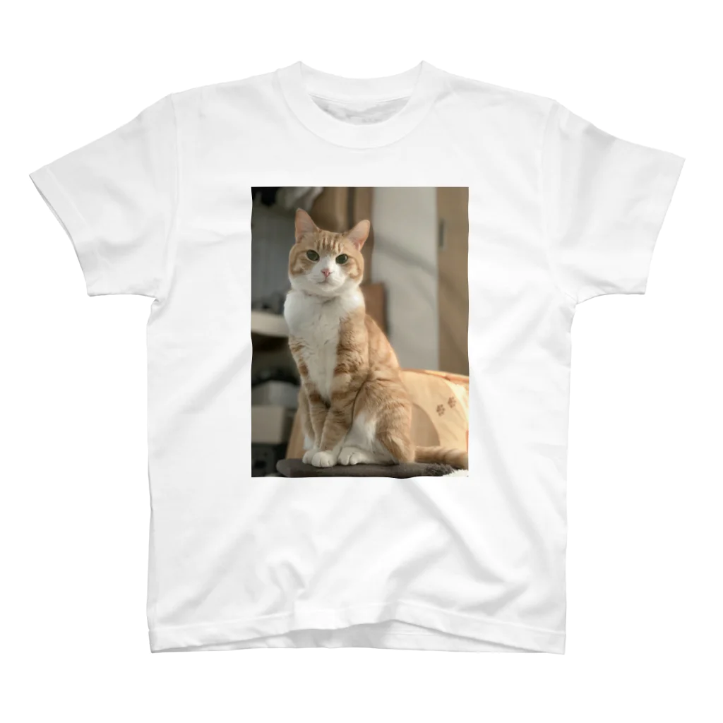 飴色の猫のチロル Regular Fit T-Shirt