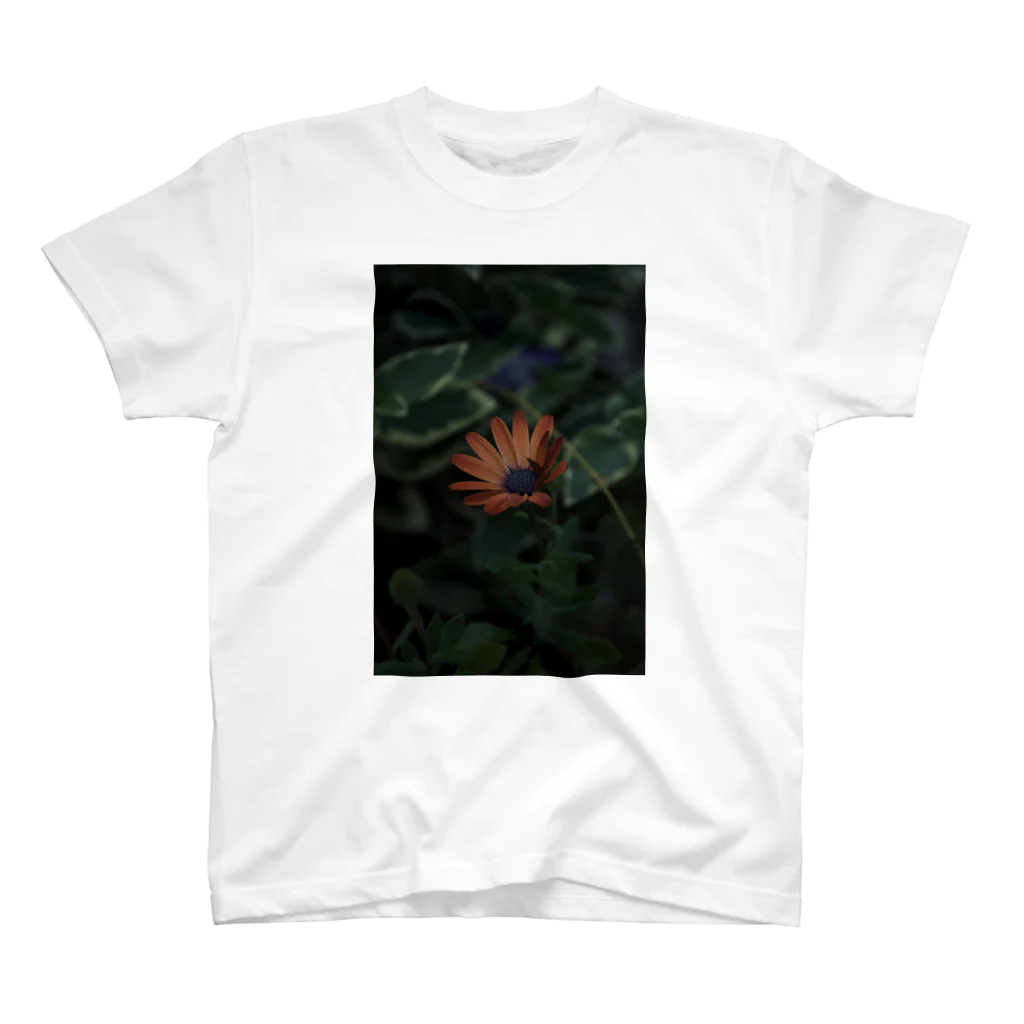 Shuchoのorange flower スタンダードTシャツ