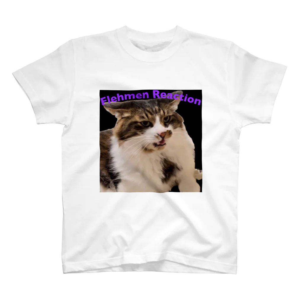 じゅうほむ屋のフレーメン反応猫 スタンダードTシャツ