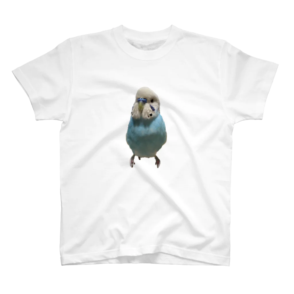 余白🦜のシンプルアメリT(実写) スタンダードTシャツ