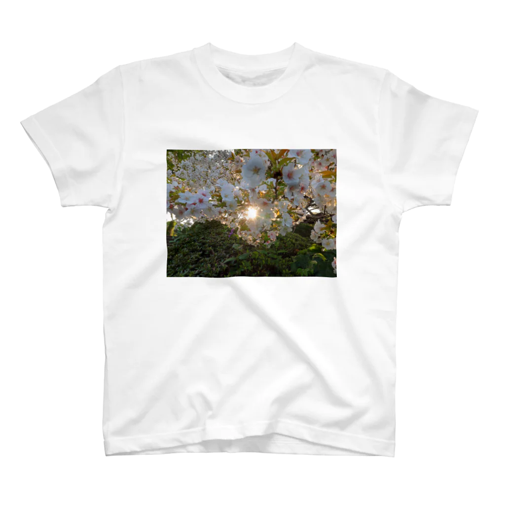 nokkccaの桜満開 - Backlit Sakura - Regular Fit T-Shirt