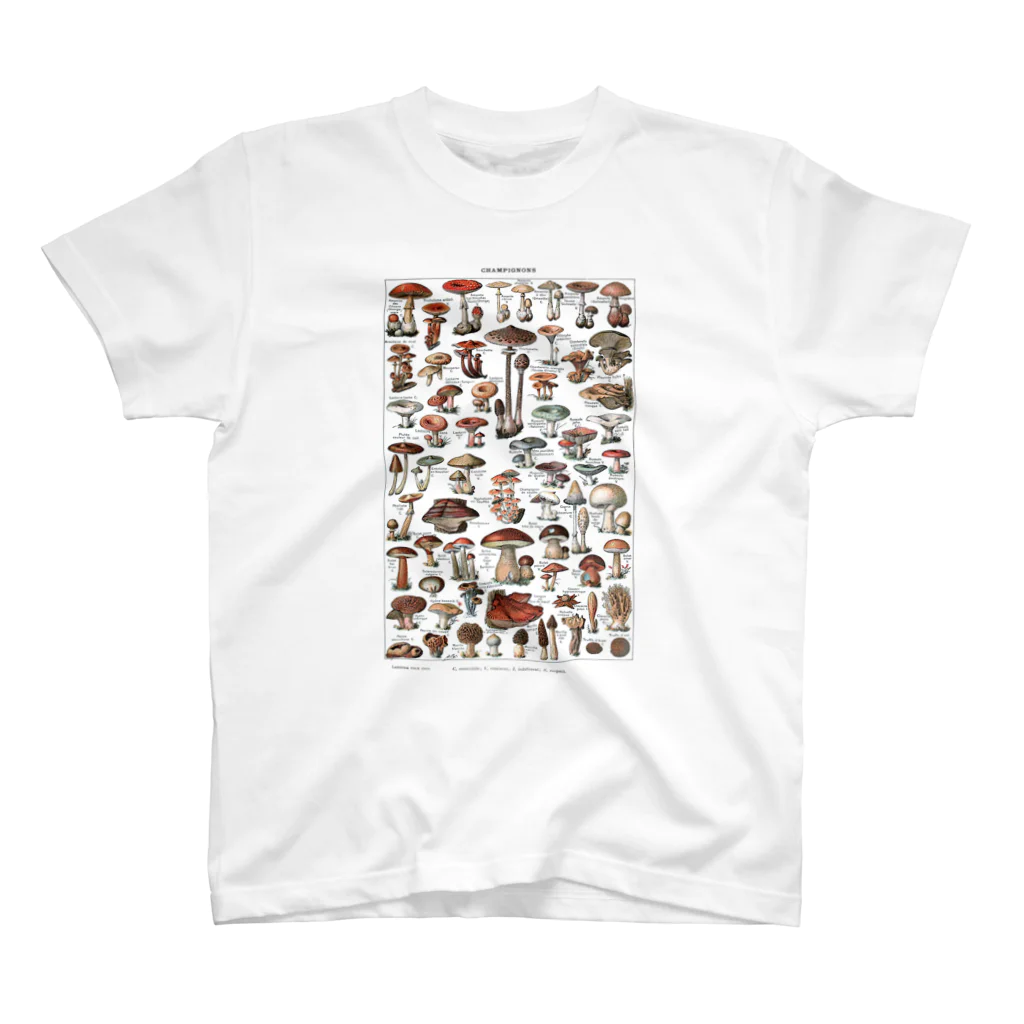 MUGEN ARTのきのこ図鑑　ヴィンテージボタニカルアート Regular Fit T-Shirt